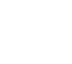 Try Drone Logo